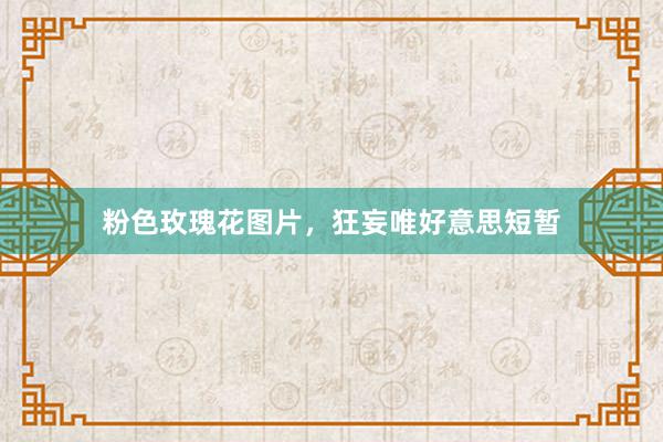 粉色玫瑰花图片，狂妄唯好意思短暂