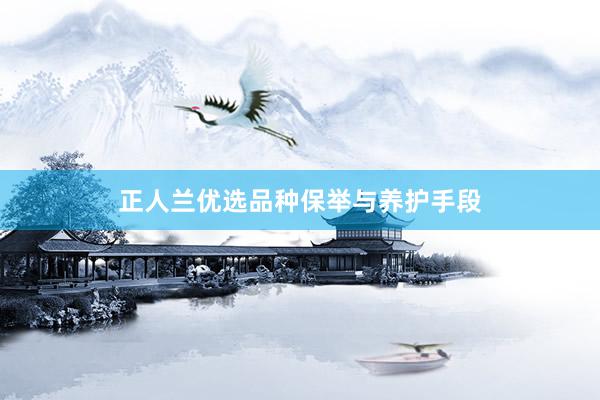 正人兰优选品种保举与养护手段