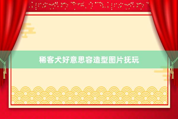 稀客犬好意思容造型图片抚玩