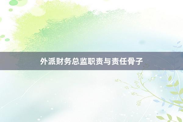 外派财务总监职责与责任骨子